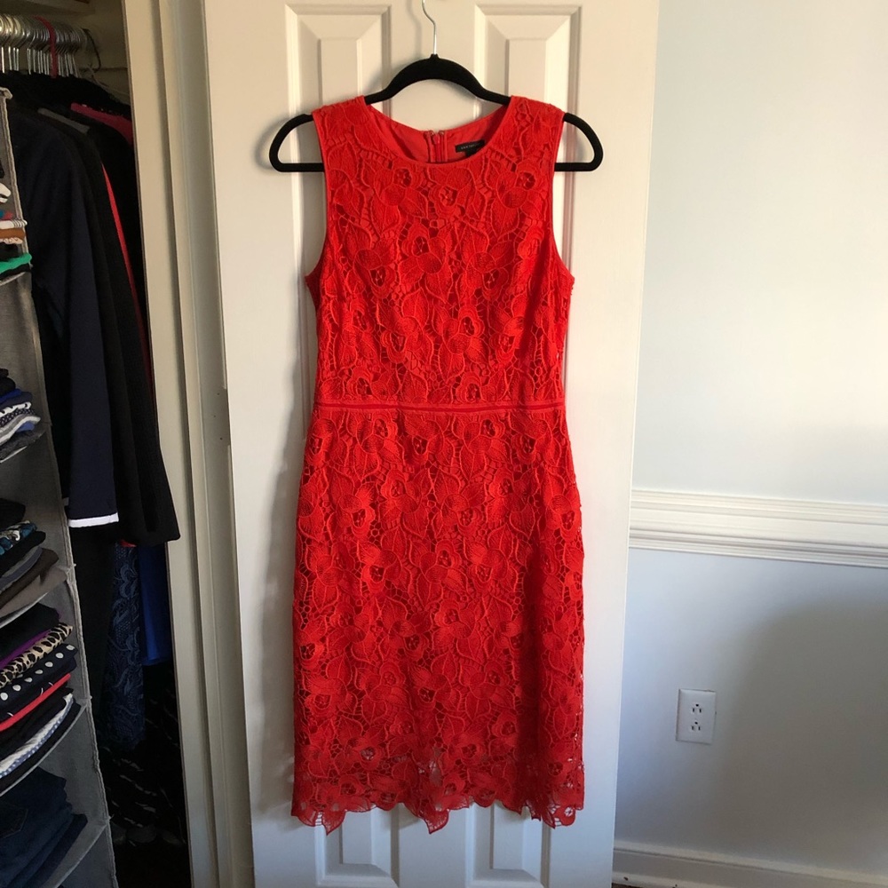 Ann Taylor Dress